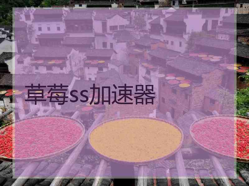 草莓ss加速器