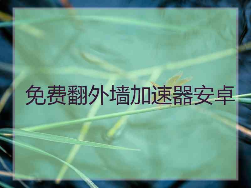 免费翻外墙加速器安卓