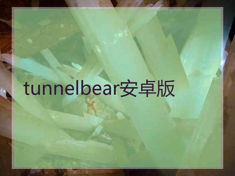 tunnelbear安卓版