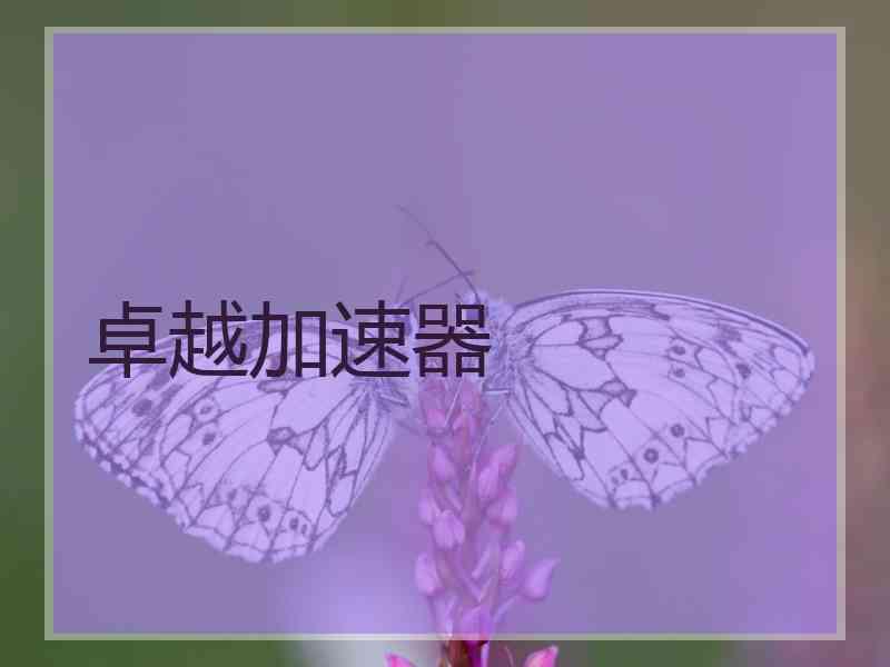 卓越加速器