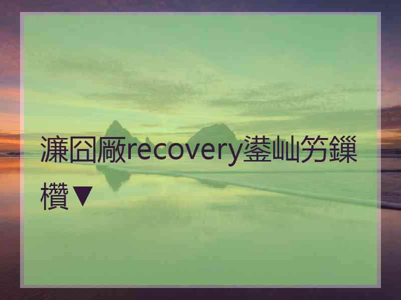 濂囧厰recovery鍙屾竻鏁欑▼