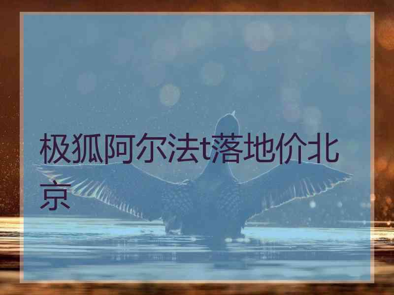 极狐阿尔法t落地价北京