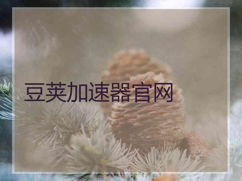 豆荚加速器官网