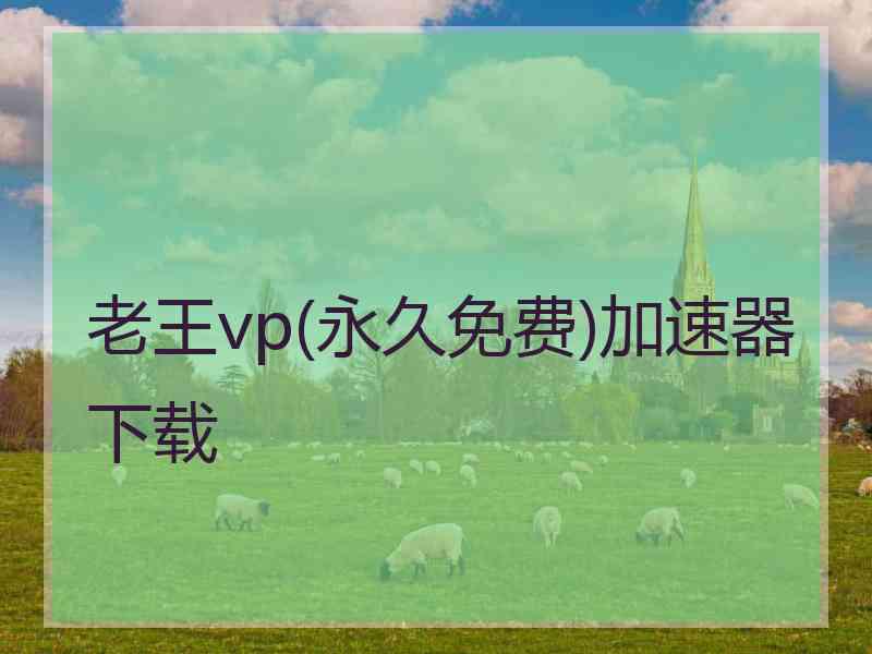 老王vp(永久免费)加速器下载