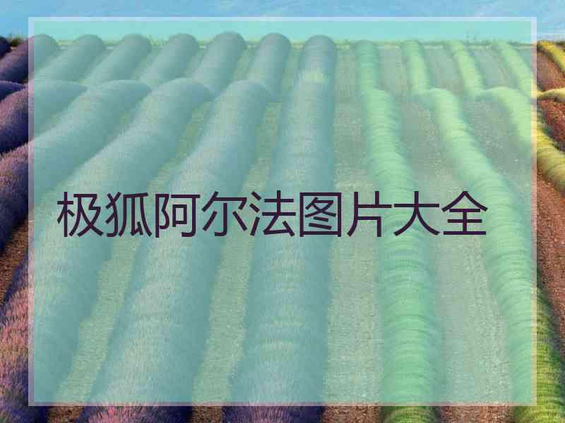 极狐阿尔法图片大全