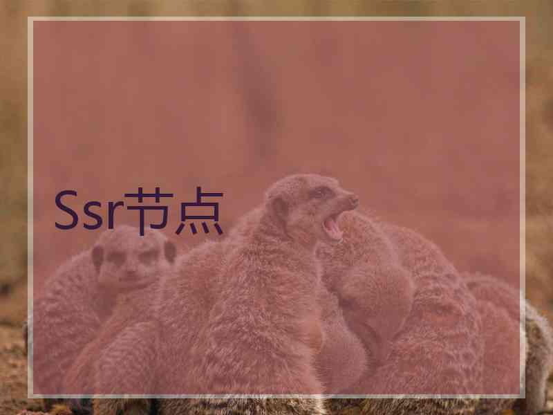Ssr节点