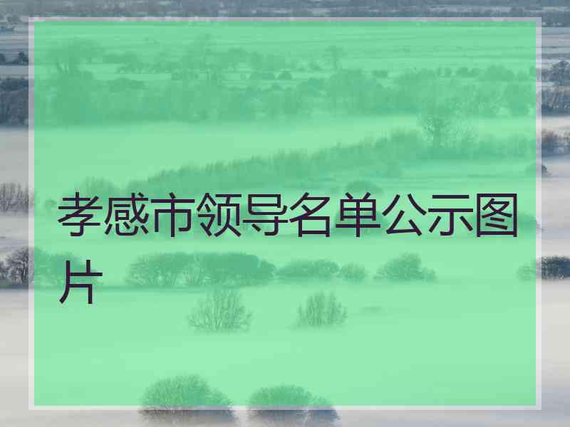孝感市领导名单公示图片