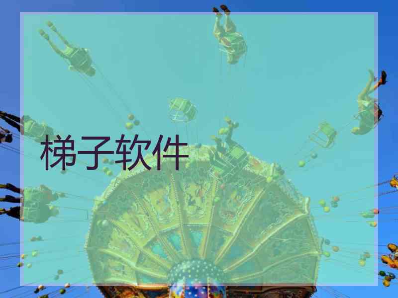 梯子软件