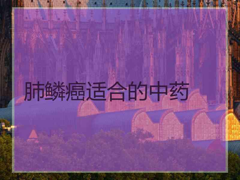 肺鳞癌适合的中药