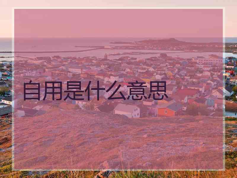 自用是什么意思