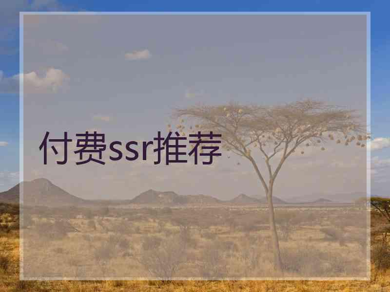 付费ssr推荐