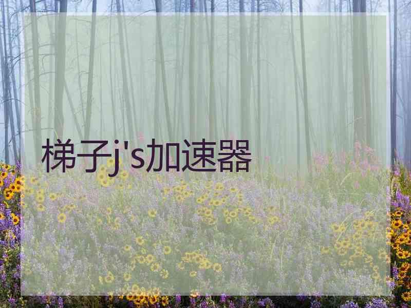梯子j's加速器