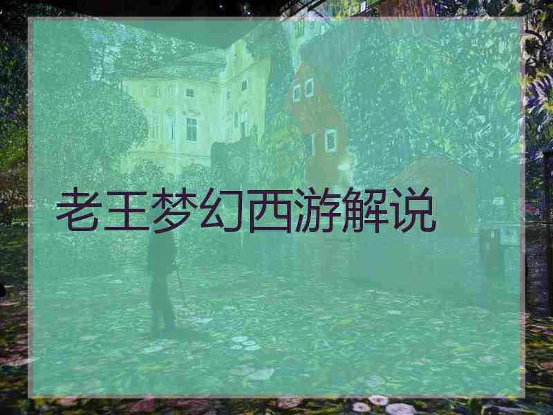老王梦幻西游解说