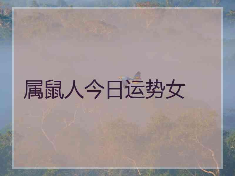 属鼠人今日运势女