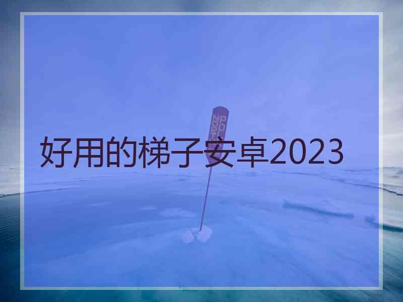 好用的梯子安卓2023