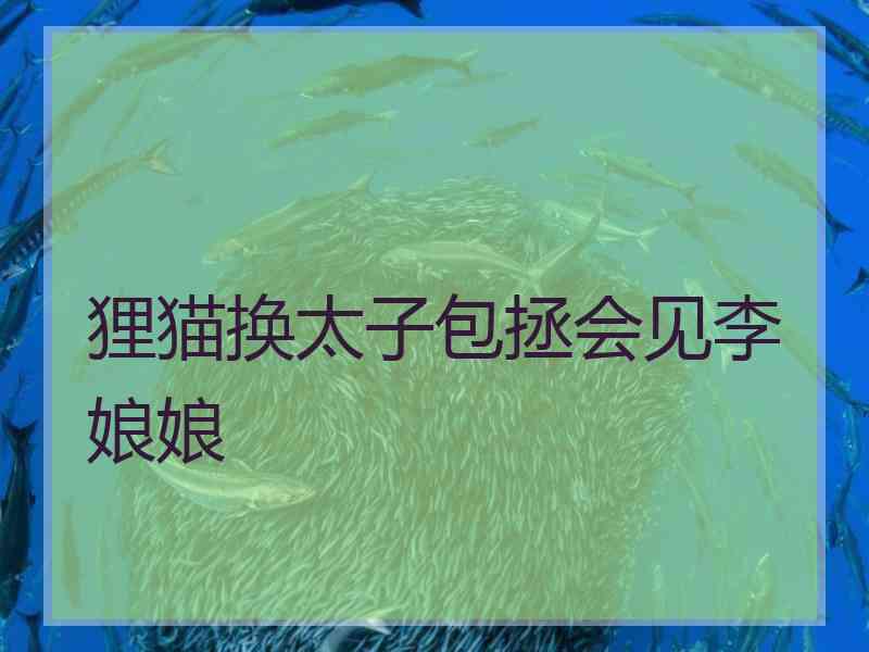 狸猫换太子包拯会见李娘娘