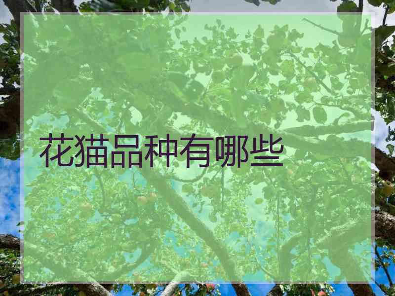 花猫品种有哪些