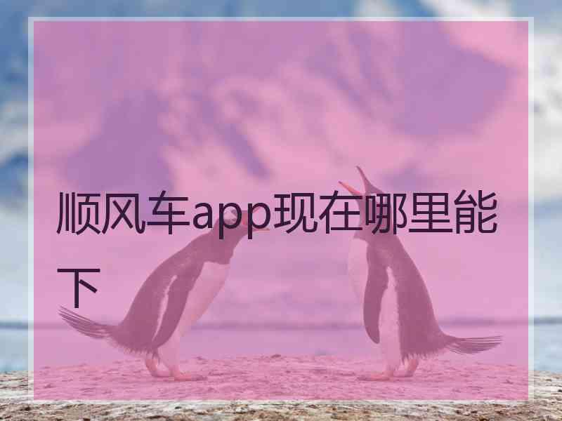 顺风车app现在哪里能下