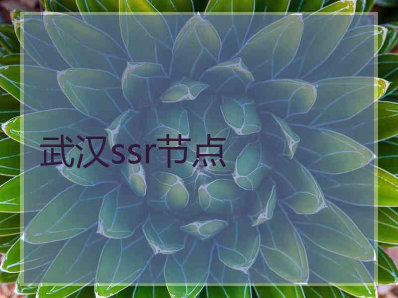 武汉ssr节点