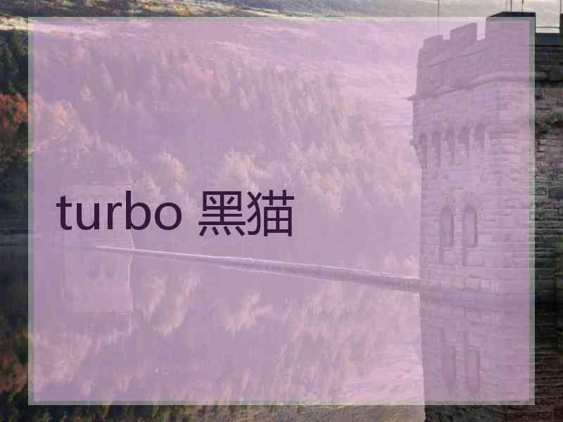 turbo 黑猫