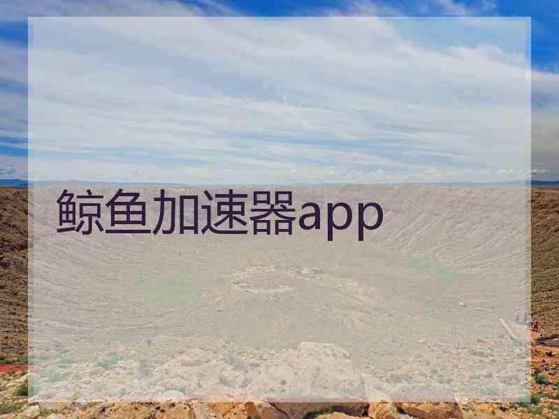 鲸鱼加速器app