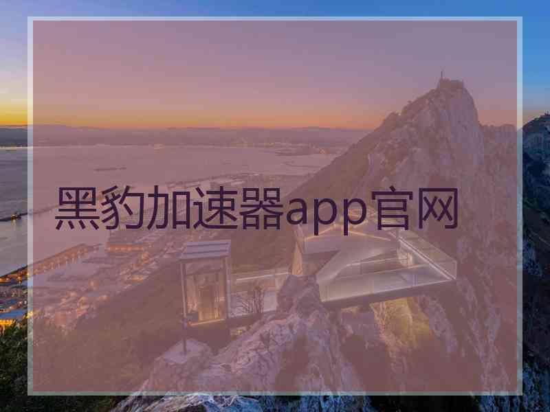 黑豹加速器app官网