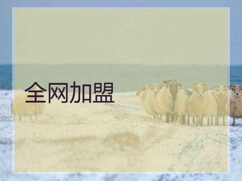 全网加盟