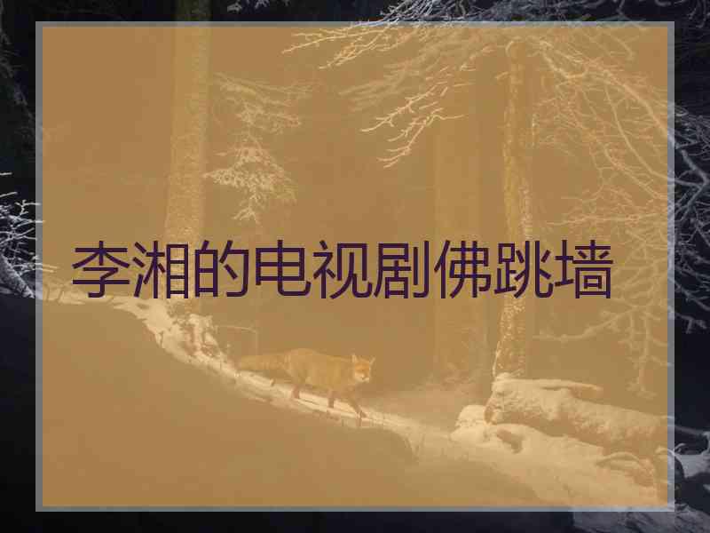李湘的电视剧佛跳墙