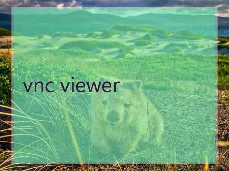 vnc viewer