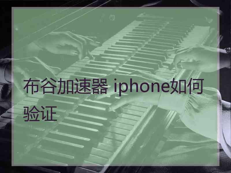 布谷加速器 iphone如何验证