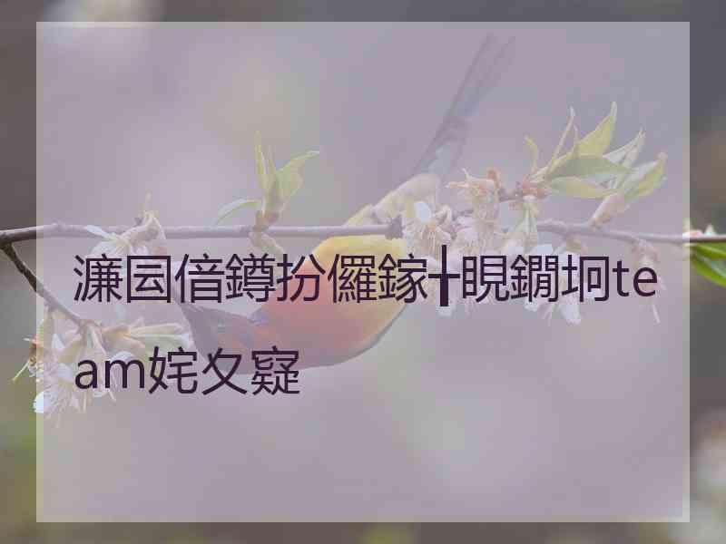 濂囩偣鐏扮儸鎵╁睍鐗坰team姹夊寲