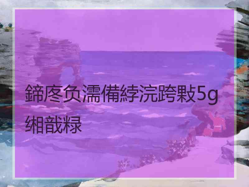 鍗庝负濡備綍浣跨敤5g缃戠粶
