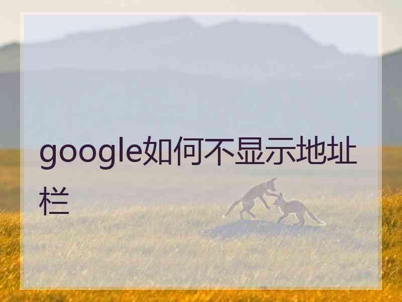 google如何不显示地址栏