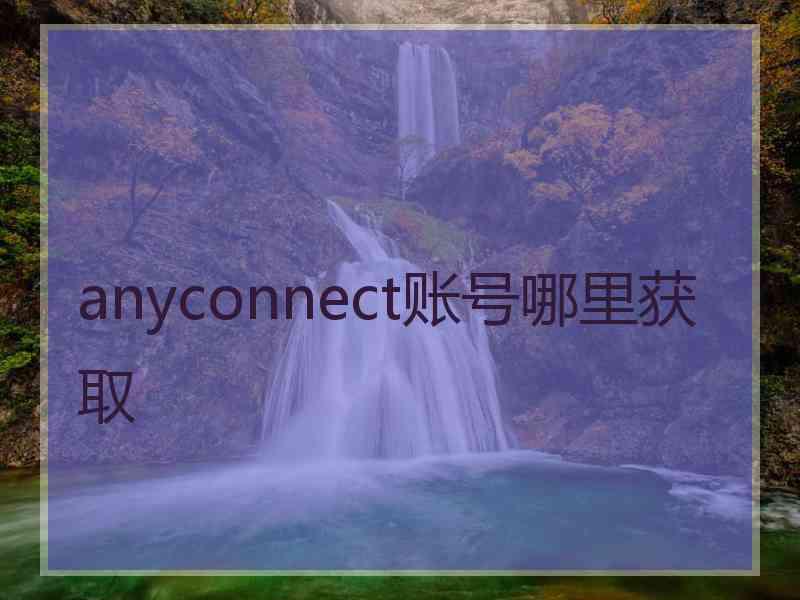 anyconnect账号哪里获取