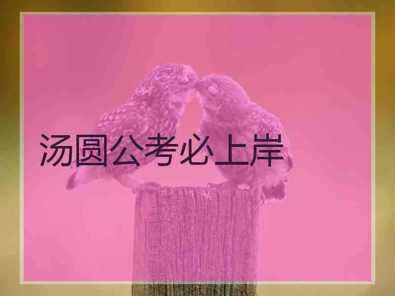 汤圆公考必上岸