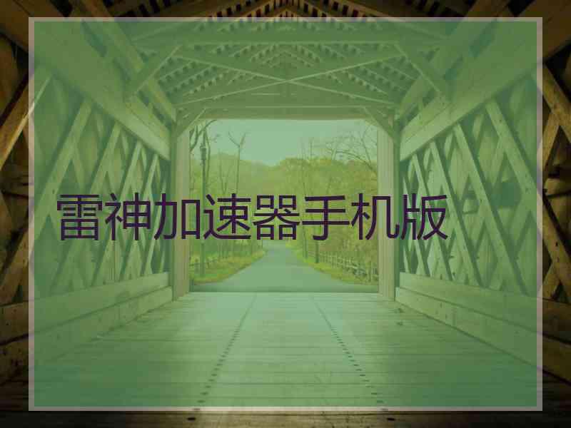 雷神加速器手机版