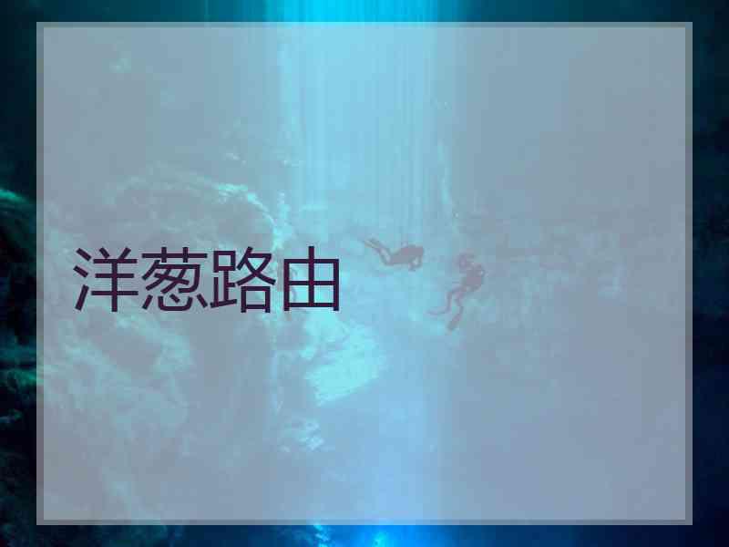 洋葱路由