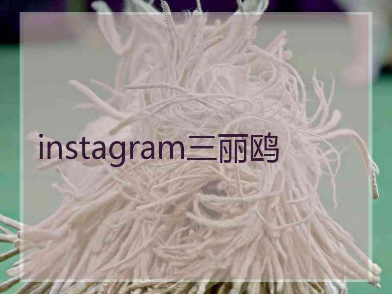 instagram三丽鸥