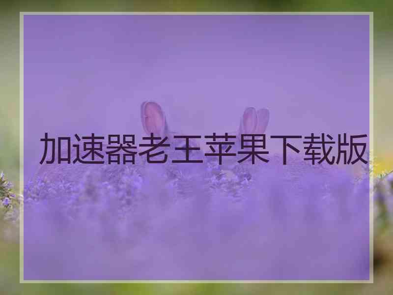 加速器老王苹果下载版