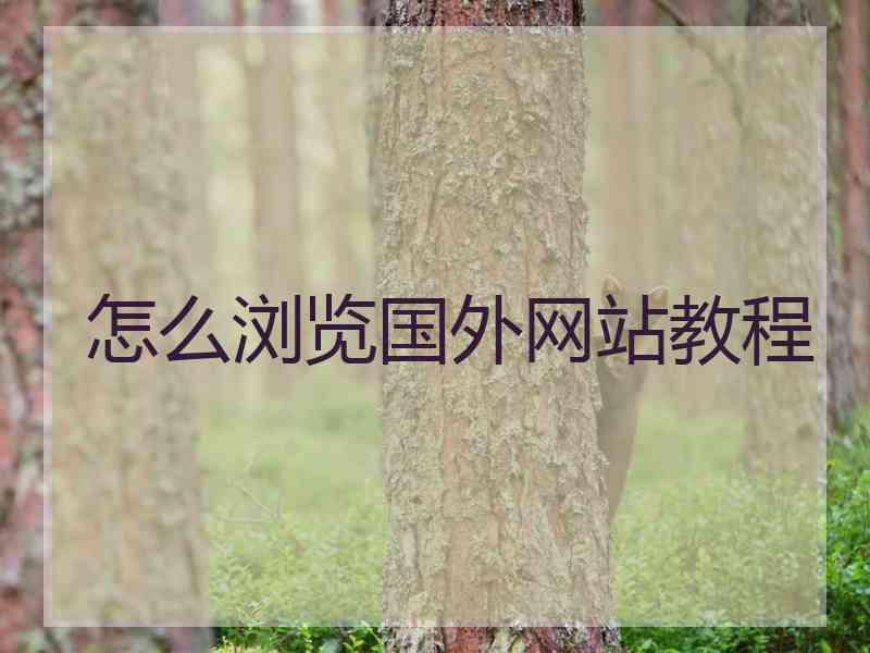 怎么浏览国外网站教程