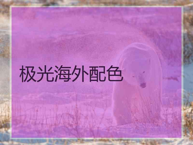 极光海外配色