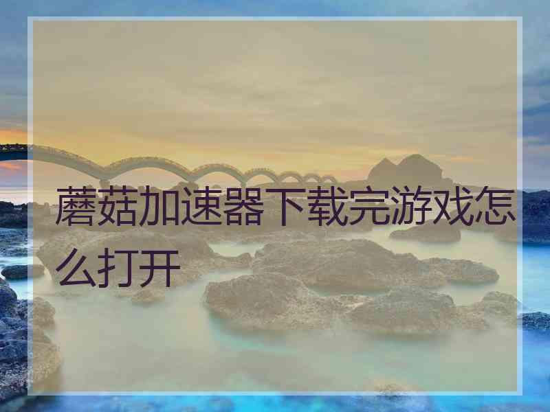 蘑菇加速器下载完游戏怎么打开