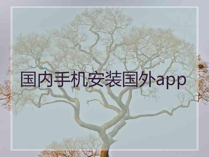国内手机安装国外app