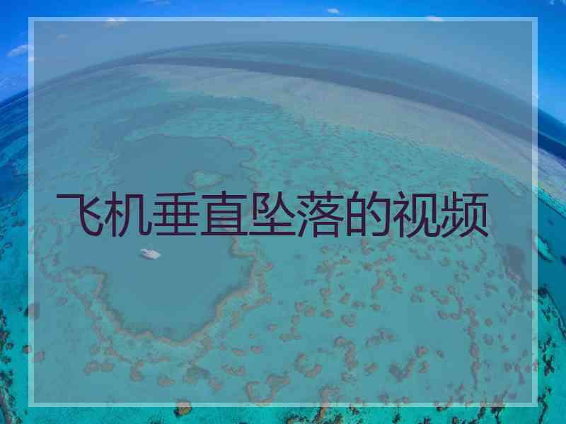 飞机垂直坠落的视频