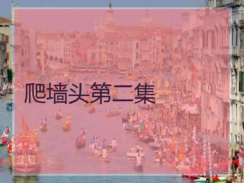 爬墙头第二集