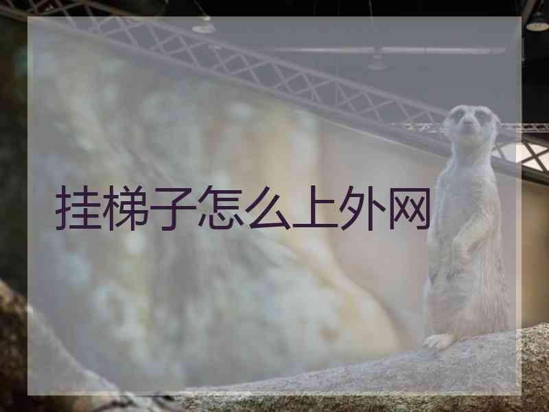 挂梯子怎么上外网
