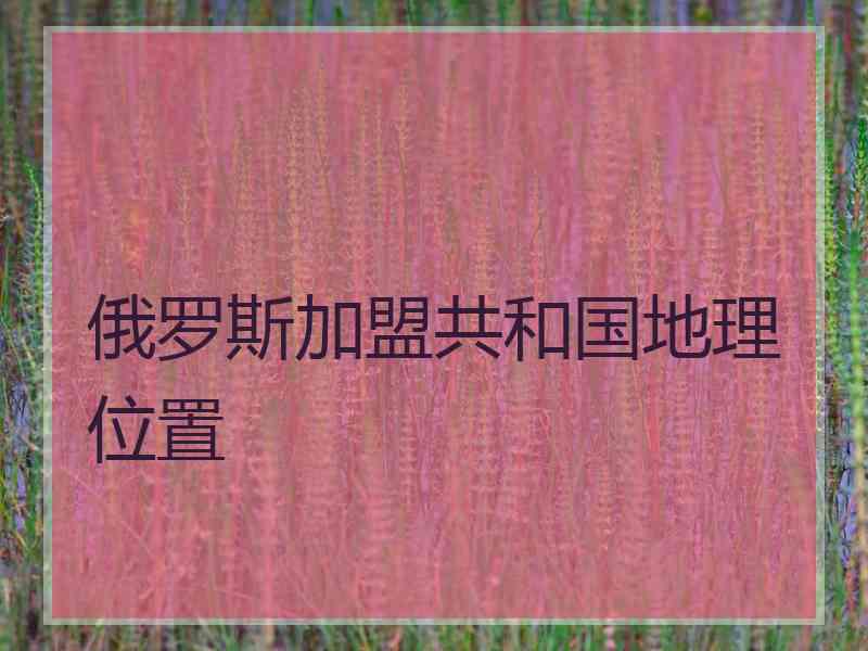 俄罗斯加盟共和国地理位置