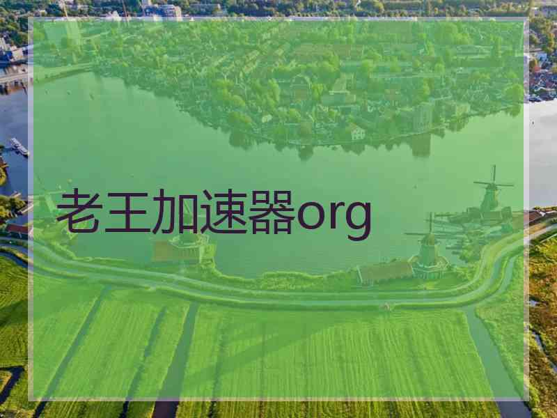 老王加速器org