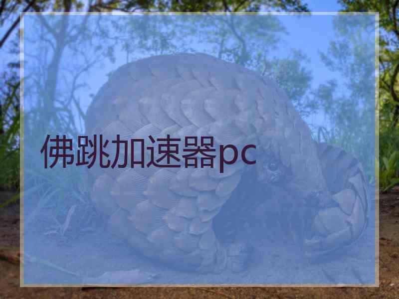 佛跳加速器pc