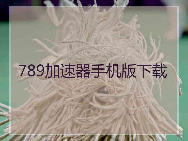 789加速器手机版下载